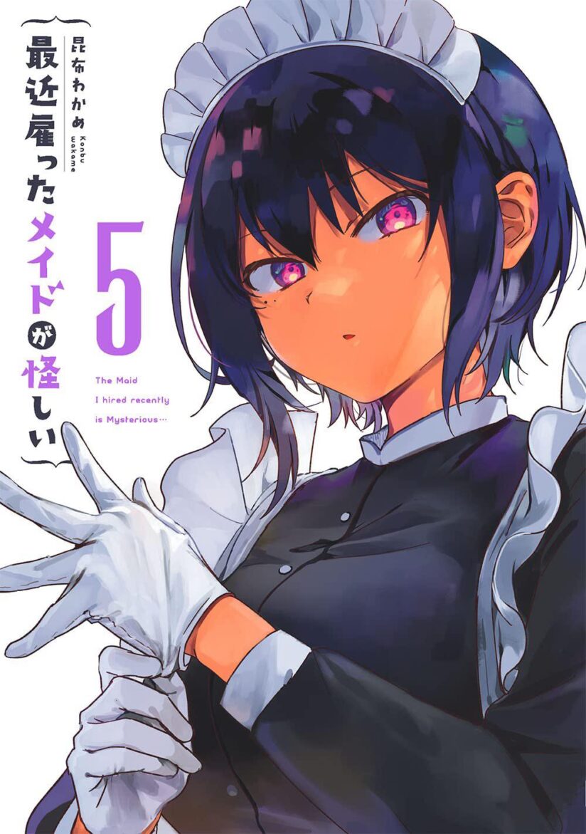 My Recently Hired Maid Is Suspicious (Serialization)